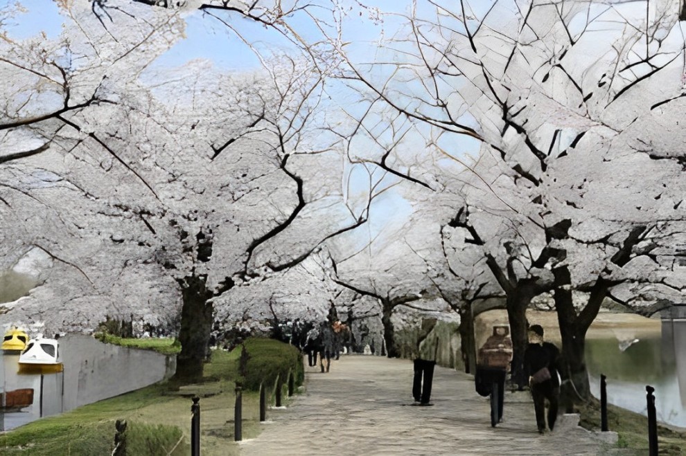 Parque Ueno